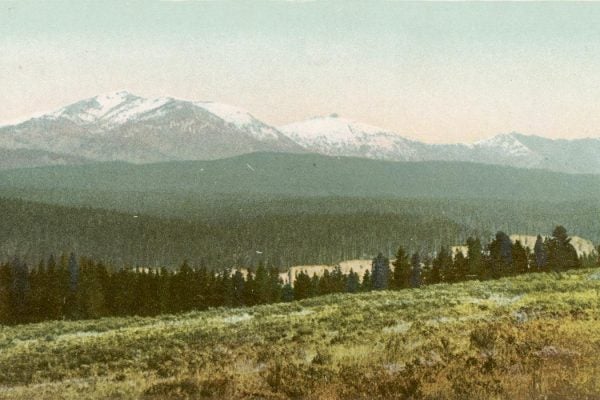 Mt. Washburn from across Canyon, Yellowstone National Park, Wyo.