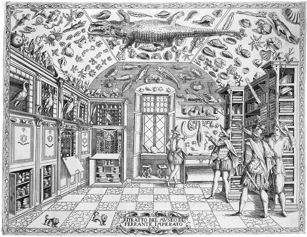 Natural history museum of Ferrante Imperato of Naples